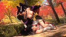 DEAD OR ALIVE 5 Ultimateפɲå֥ե4פѤǤ븢PS3ǸۿǤˤϿֽŷפо