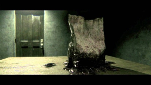 P.T.ץȥ쥤顼