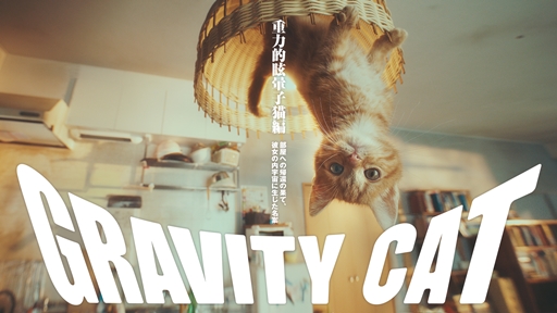 GRAVITY CAT / Ūǭԡpresented by GRAVITY DAZE 2 