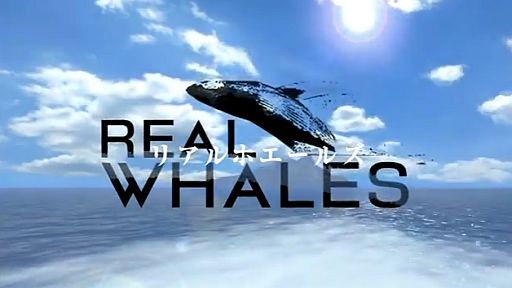 REAL WHALES (ꥢۥ)