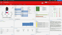 åֱĥFootball Manager 2014פΤǡȤˤȤäͳϤʤɾҲ𤷤Ƥߤ