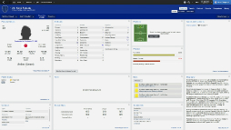 åֱĥFootball Manager 2014פΤǡȤˤȤäͳϤʤɾҲ𤷤Ƥߤ