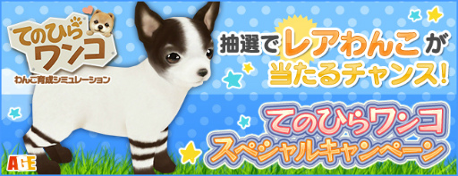 画像集 No.001のサムネイル画像 / 「てのひらワンコ」，ボーダーチワワが当たるキャンペーンを開催