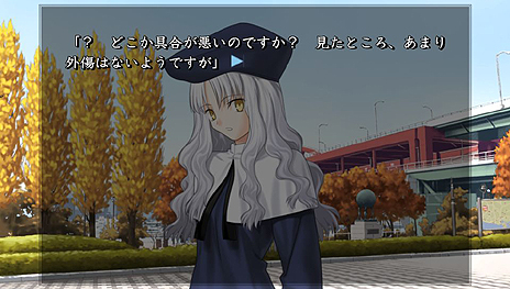 #024Υͥ/Fate/hollow ataraxiaס2ʸŵˤξܺ٤䡤ŹƬθǻͷǽʥԥɤʤɤ