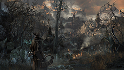 #010Υͥ/gamescomϻƮФ뿷ƥ֥ꥲפȤϡBloodborneפοgamescom 2014˹碌ƹԤ줿쥯㡼Ǹ