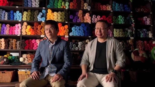 Yoshi's Woolly World Developer Story