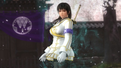 DEAD OR ALIVE 5 Last RoundפΡ𥫥ץܥۿȡƮȰˤ֤ǧǤҲࡼӡ