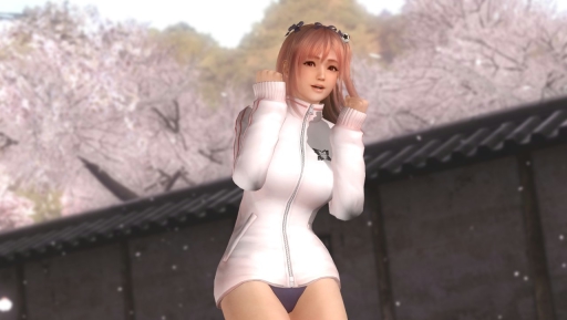 DEAD OR ALIVE 5 Last RoundפΡ𥫥ץܥۿȡƮȰˤ֤ǧǤҲࡼӡ