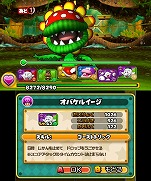 ܡΥΥ֤ˤʤ롪PUZZLEDRAGONS SUPER MARIO BROS. EDITIONפοTVCMǳ