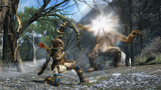 Dragon's Dogma Onlineפ緿åץǡȡ֥1.3׼»ܡ֥֡륱ߥȡפ٥ƥĤƤȯؤʹ