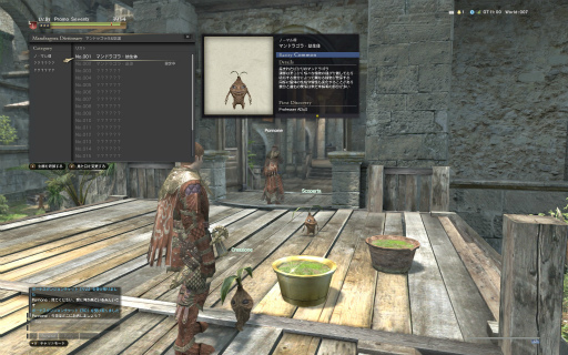 Dragon's Dogma Onlineץ3.0θŨȤΥХȥϤᡤѰס֥ޥɥ饴顦ǥ˥󥰡פݡ