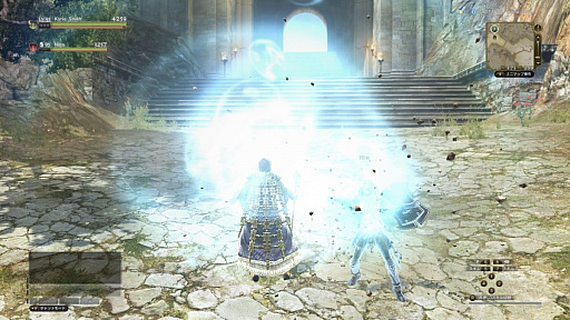  No.017Υͥ / Dragons Dogma Onlineס֥֡ϥץפΥॹ¸֤ΥॹEXɲåξ󤬸