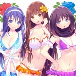  No.003Υͥ / 100ʾDLC̥꡼֤줿VALKYRIE DRIVE -BHIKKHUNI- Bikini Party Editionפ2017ǯ112ȯ