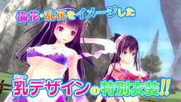  No.004Υͥ / VALKYRIE DRIVE -BHIKKHUNI-סǡBikini Party EditionɤPV