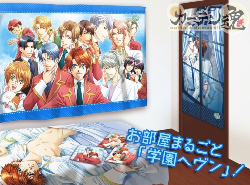 ���������꡼ No.001�Υ���ͥ������ / �ֳر�إ���ץǥ�����Υ����ƥ�䥷���Ĥ�1��29������������䳫��