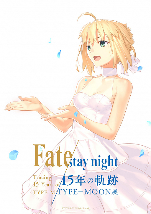 TYPE-MOONŸ Fate/stay night -15ǯε-ס κǿӥ奢뤬