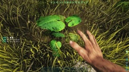 PS4ǡARK: Survival Evolvedץץ쥤ݡȡε⤹ǡץ쥤䡼줾ΥǥХХ褬ڤ