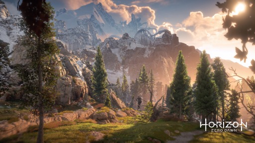 Horizon Zero DawnפκǿCinematicץȥ쥤顼괬ʪΰü餫