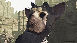 ȥꥳˡȤɡThe Last Guardian VRפϾǯǥȥꥳβİפι⤵ǽǤ