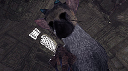 ȥꥳˡȤɡThe Last Guardian VRפϾǯǥȥꥳβİפι⤵ǽǤ