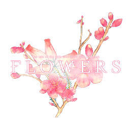 画像ギャラリー No.002のサムネイル画像 / 百合系ADVこと「FLOWERS」の続編「FLOWERS 夏篇」がPS Vita/PSPで10月22日発売へ。主人公は春篇のサブキャラ・八重垣えりか