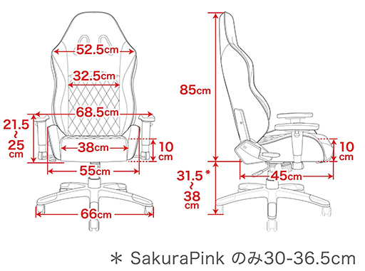 ʿͤŬAKRacingޡPINONפȯ