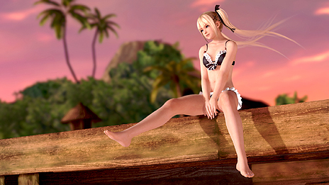 DEAD OR ALIVE Xtreme 3׺ǿ󡣡֤餫󥸥2.0פǤϥҥã夯Ƥɽ¸餷