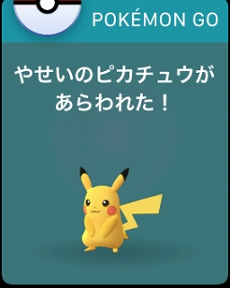 ͷӹץ쥤䡼ۤɤۤʤApple WatchǡPok&#00233;mon GOסPok&#00233;mon GO PlusȵǽӤʤ٥ȤʻȤάƤߤ