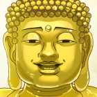 �ѥå�����