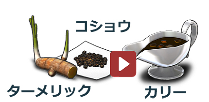 画像集 No.048のサムネイル画像 / 世界地図作成シム・ATLASシリーズの新作「Neo ATLAS 1469」がPS Vitaで10月27日発売へ。「Neo ATLAS II」をベースに“進化形”として登場