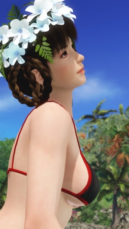  No.016Υͥ / DEAD OR ALIVE Xtreme Venus Vacationפ˥쥤եо졣ΡȤ󡦥ɤʥեȥݡȤϤ