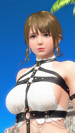 ˡ꡼20ǯDEAD OR ALIVE Xtreme Venus Vacationפ27ͤҲ𡣺ǿȥǥɤϸߡ̵ݶǽ