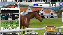 ϰStarHorsePocketץץ쥤ݡȡॻ󥿡16ǯʾͷФƤStarHorseפޥۥץǴƸ