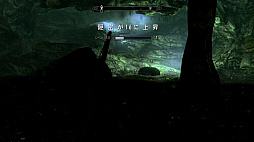  No.028Υͥ / Nintendo SwitchǡThe Elder Scrolls V: Skyrimפǡ餷̥ϤƳǧ