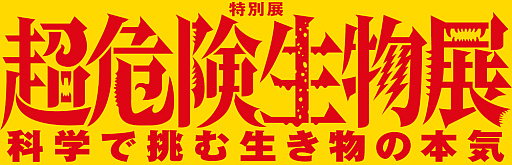 画像ギャラリー No.013のサムネイル画像 / 「デュエル・マスターズ」25周年イヤーに突入。世界に25枚だけ存在するカードが封入された商品などを発売予定
