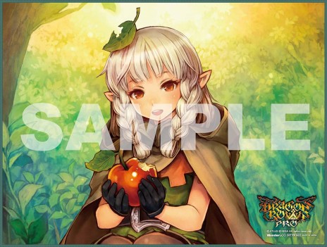 画像集 No.013のサムネイル画像 / 「ドラゴンズクラウン・プロ」新録BGMの試聴動画と,キャラクター「アマゾン」の紹介動画が公開に。11月19日開催「スペシャル体験会」の情報も