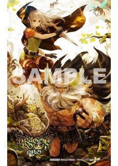画像集 No.015のサムネイル画像 / 「ドラゴンズクラウン・プロ」新録BGMの試聴動画と,キャラクター「アマゾン」の紹介動画が公開に。11月19日開催「スペシャル体験会」の情報も
