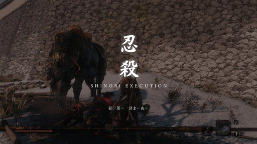 SEKIRO: SHADOWS DIE TWICEGOTYоåץǡۿǡꥢѤߤοͤ鿴Ԥͷ֤٤