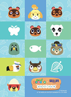 ���������꡼ No.003�Υ���ͥ������ / �֤��Ŀ��פ�̾�Ų������饤�տ�²�ۤ�����ܤ����ֳ���������� �դ줢��Ÿ�ס�1��30����곫�ŷ���