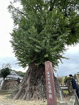 ꡼ No.005Υͥ / Žһ᤿Ƚ֥ޥ󥷥󥰺2025ƱԵʸԡˡικǸԤäƤΡϺǽǤϤʤʤλϤޤ