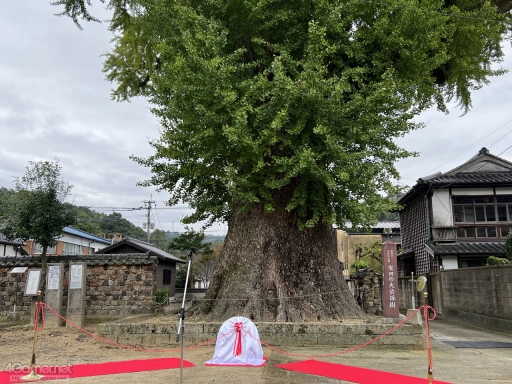 ꡼ No.007Υͥ / Žһ᤿Ƚ֥ޥ󥷥󥰺2025ƱԵʸԡˡικǸԤäƤΡϺǽǤϤʤʤλϤޤ