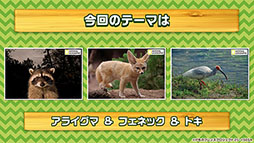 画像集 No.022のサムネイル画像 / 「けもフレ3」,事前登録数15万件達成に伴い,ゲーム内キャラ「トキ」の配付が決定。ログインボーナス情報なども発表された公式生放送の模様をレポート