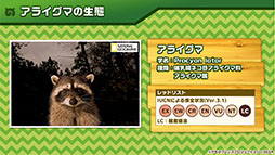 画像集 No.023のサムネイル画像 / 「けもフレ3」,事前登録数15万件達成に伴い,ゲーム内キャラ「トキ」の配付が決定。ログインボーナス情報なども発表された公式生放送の模様をレポート