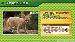 画像集 No.024のサムネイル画像 / 「けもフレ3」,事前登録数15万件達成に伴い,ゲーム内キャラ「トキ」の配付が決定。ログインボーナス情報なども発表された公式生放送の模様をレポート