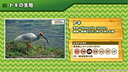 画像集 No.025のサムネイル画像 / 「けもフレ3」,事前登録数15万件達成に伴い,ゲーム内キャラ「トキ」の配付が決定。ログインボーナス情報なども発表された公式生放送の模様をレポート