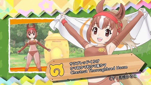 ؤΥե󥺣٥ե󥺾ҲPV ֥åɤꤲ