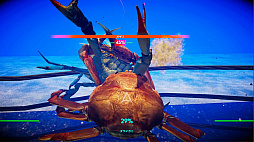 ϵǶΥˤ֥˥Υ -Fight Crab-פΥץ쥤ݡȤϤͷӱ䡤ˡ