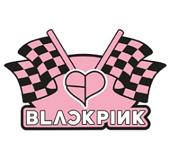 ֥ȥ饤 ɥեȡס䥭ɲä륢åץǡȤ»ܡBLACKPINKץ2ƤⳫ