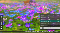 画像集#010のサムネイル/「New ポケモンスナップ」の“エクストラ撮影”で覚える写真のイロハ。カメラマンがポケモンをより良く見せるための基本を解説