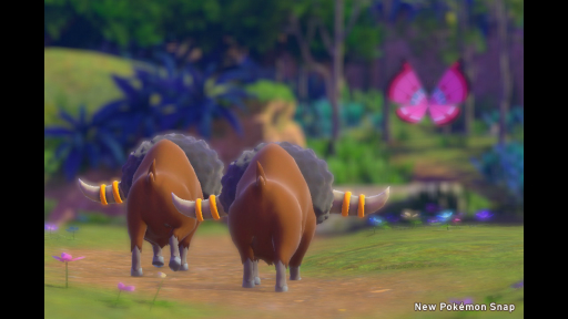 画像集#022のサムネイル/「New ポケモンスナップ」の“エクストラ撮影”で覚える写真のイロハ。カメラマンがポケモンをより良く見せるための基本を解説